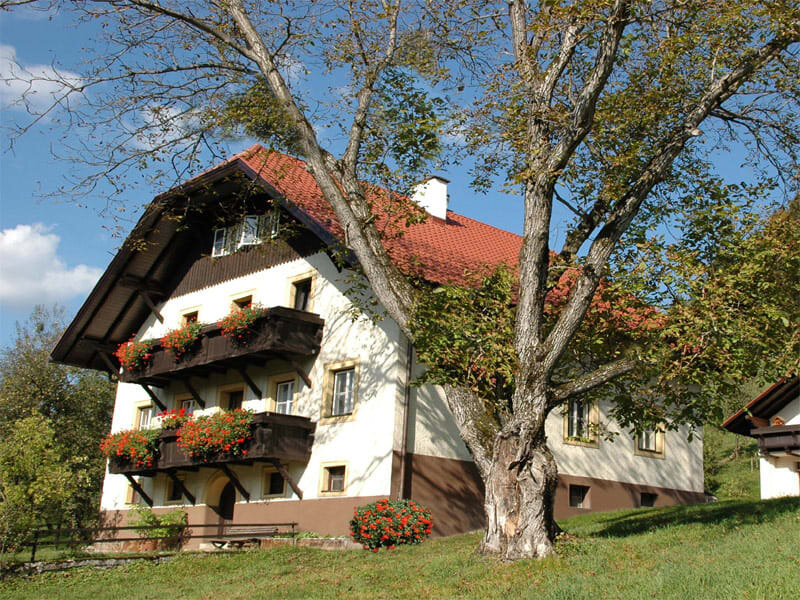 Bauer am Berg in Windischgarsten Kalkalpen National Park